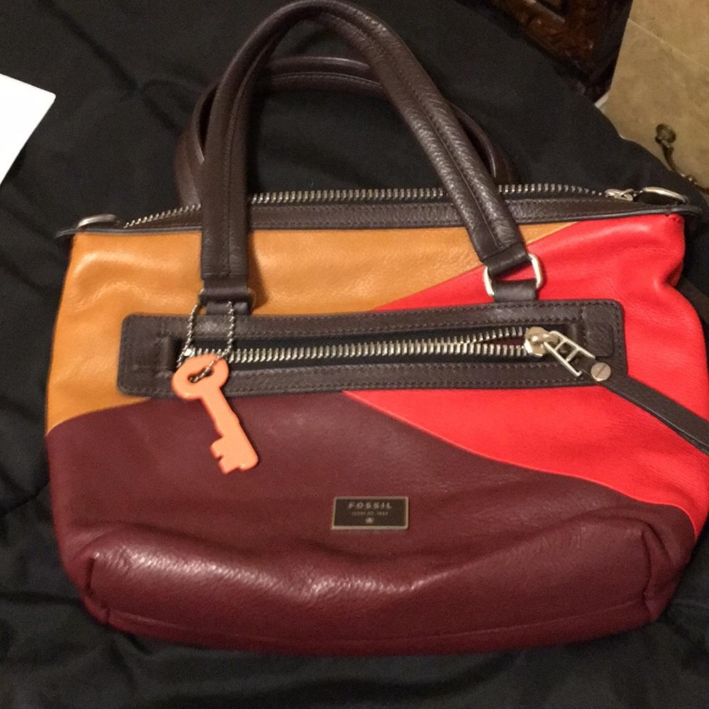 Multi color fossil new